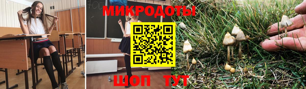 Галлюциногенные грибы MAGIC MUSHROOMS Назрань