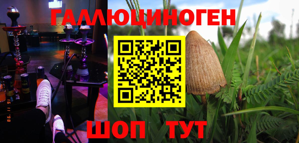 Псилоцибиновые грибы MAGIC MUSHROOMS  Вход с VPN  наркотики  Назрань 