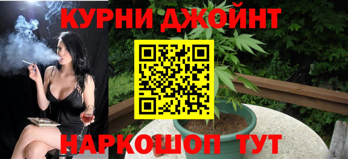 Каннабис сатива Назрань